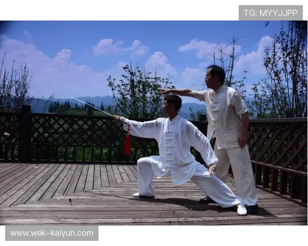 中华武术网：传承与创新并行的武术文化发展之路